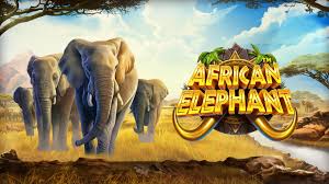 African Elephant Slots